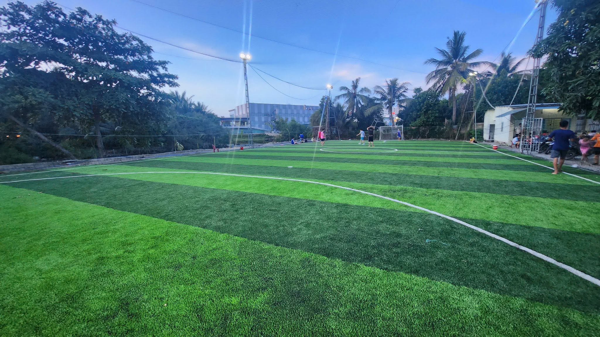 Sân cỏ nhân tạo TCD Sport